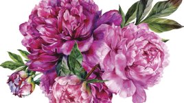 Петковден е!