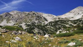 Любопитни факти за могъщия Пирин