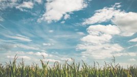 Мисъл на деня за... хубавото в живота