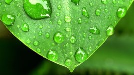 Мисъл на деня за... чудесата