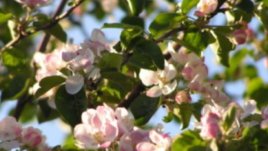 7 начина да надвием пролетната авитаминоза