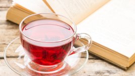 Мисъл на деня от Шопенхауер