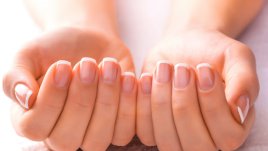 Ноктите и техните тайни