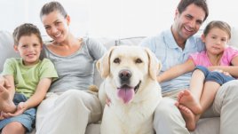 Защо домашните любимци са най-добрите приятели на човека?