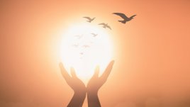 Поверия за Томина неделя