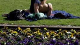 Как се почиства петно от трева?