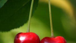 Маска с череши за пролетна свежест