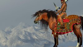 Индианска мъдрост на деня