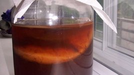 Комбуча – еликсирът на безсмъртието