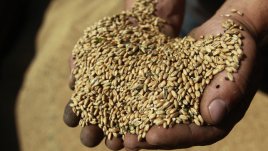 Диета за прочистване на организма