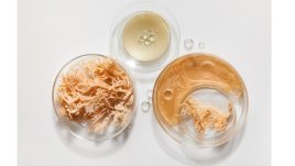 Морски мъх – суперхрана за силен имунитет и хубава кожа