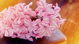 Мисъл на деня за... връзките