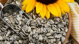 Топ храните за подобряване на плодовитостта 