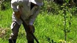 Покана за залесяване в Бургас