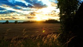 Със залез на листа