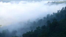 Морска мъгла