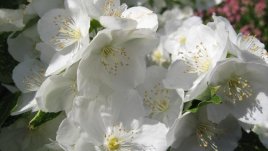 На теб ухая