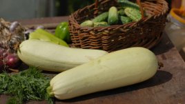 5 летни рецепти с тиквички