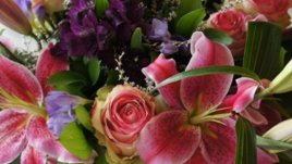 29 юни – Петровден