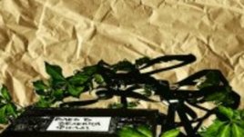 Еко филм фест и в Княжево