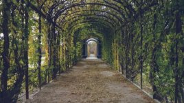 Мисъл на деня за... това, което губим