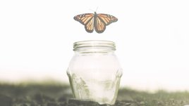 Петте споразумения – път към щастието