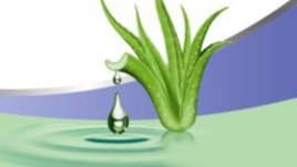 Магията на Алое Вера