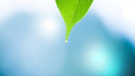 Как да поемем контрол над собствения си лечебен процес