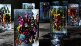 Вледеняваща красота (галерия)