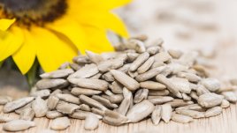 Неочаквани ползи от слънчогледовите семки 