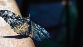 Мисъл на деня за... промяната