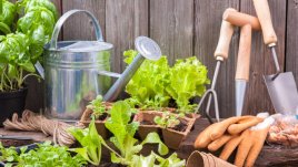 Подготовка на почвата преди пролетното засаждане