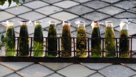 Аюрведа – как да постигнем баланс