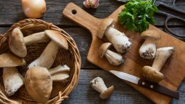 6 здравословни ползи от гъбите