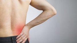 Как да съхраним бъбреците си?