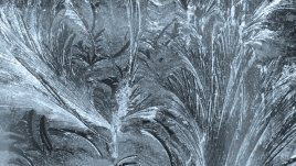 Честит имен ден на Снежа, Снежана и Снежанка 