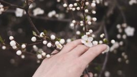 Мисъл на деня за... пролетта 