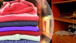 Най-добрата защита на дрехите ни срещу молци