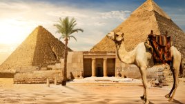 Знаете ли, че... размяната на сватбени пръстени е египетски ритуал?