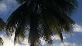 Домашен кокосов крем за ръце