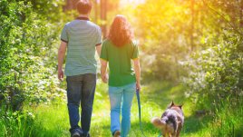 Как разходките в гората подобряват здравето ни