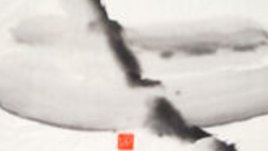 Изложба на калиграфии с китайски туш на оризова хартия