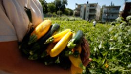 Маска от тиквички тонизира кожата