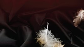 Сексуалното напрежение като изкуство