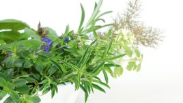 Уханна градина на Еньовден