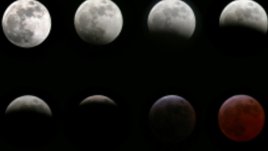 Лунна диета – април 2011