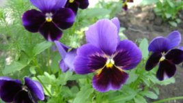 Туризъм, поезия и диета за почивните дни