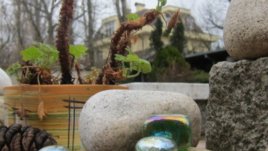 Природата у дома – свежест и красота