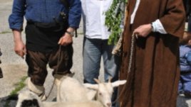 Село Бъта приготви 350 л курбан