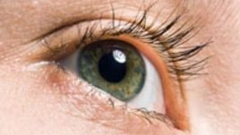 Трансплантираха мигли за първи път